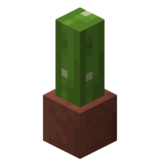 Посаженный кактус.png